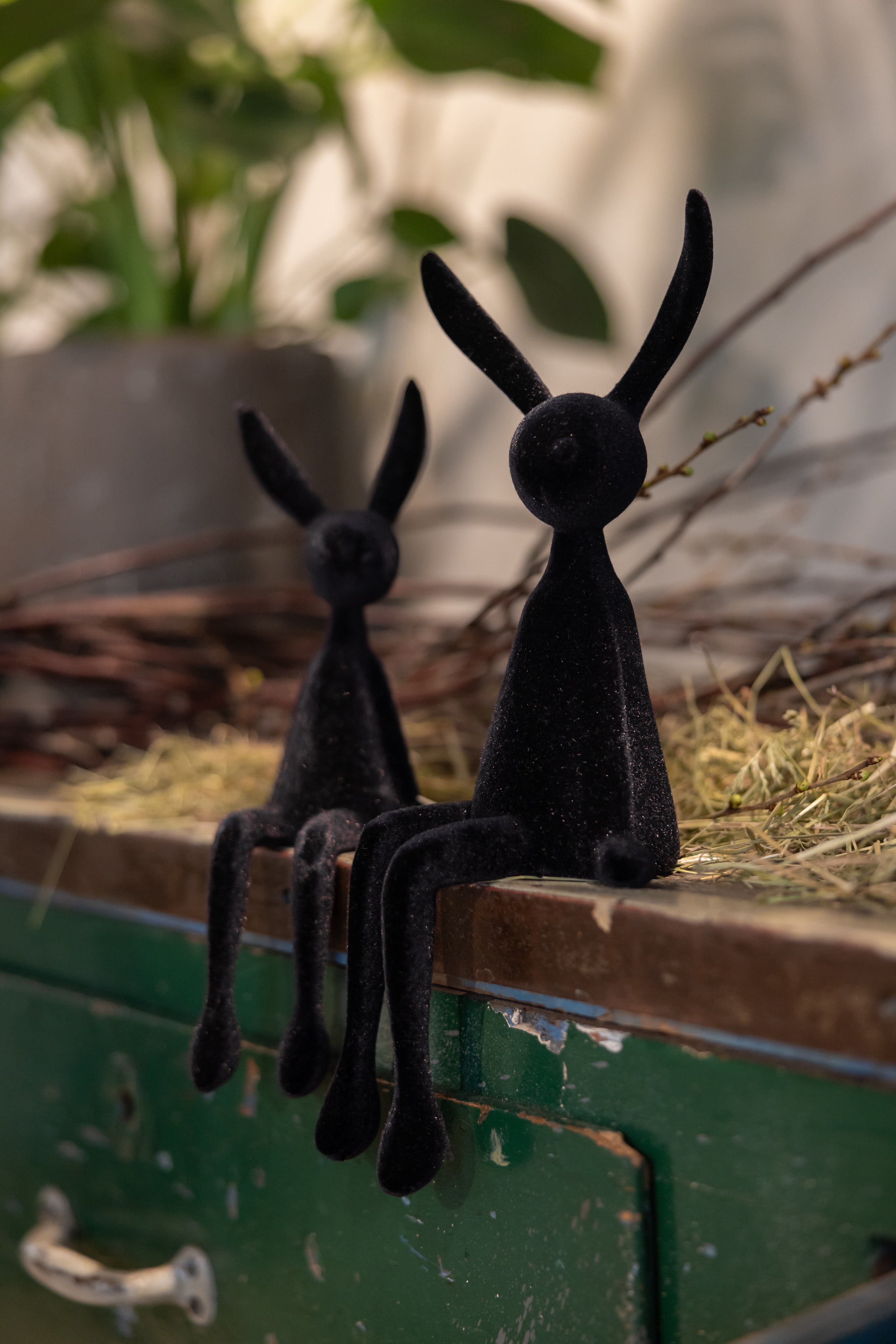 Hasen Kantenhocker schwarz beflockt