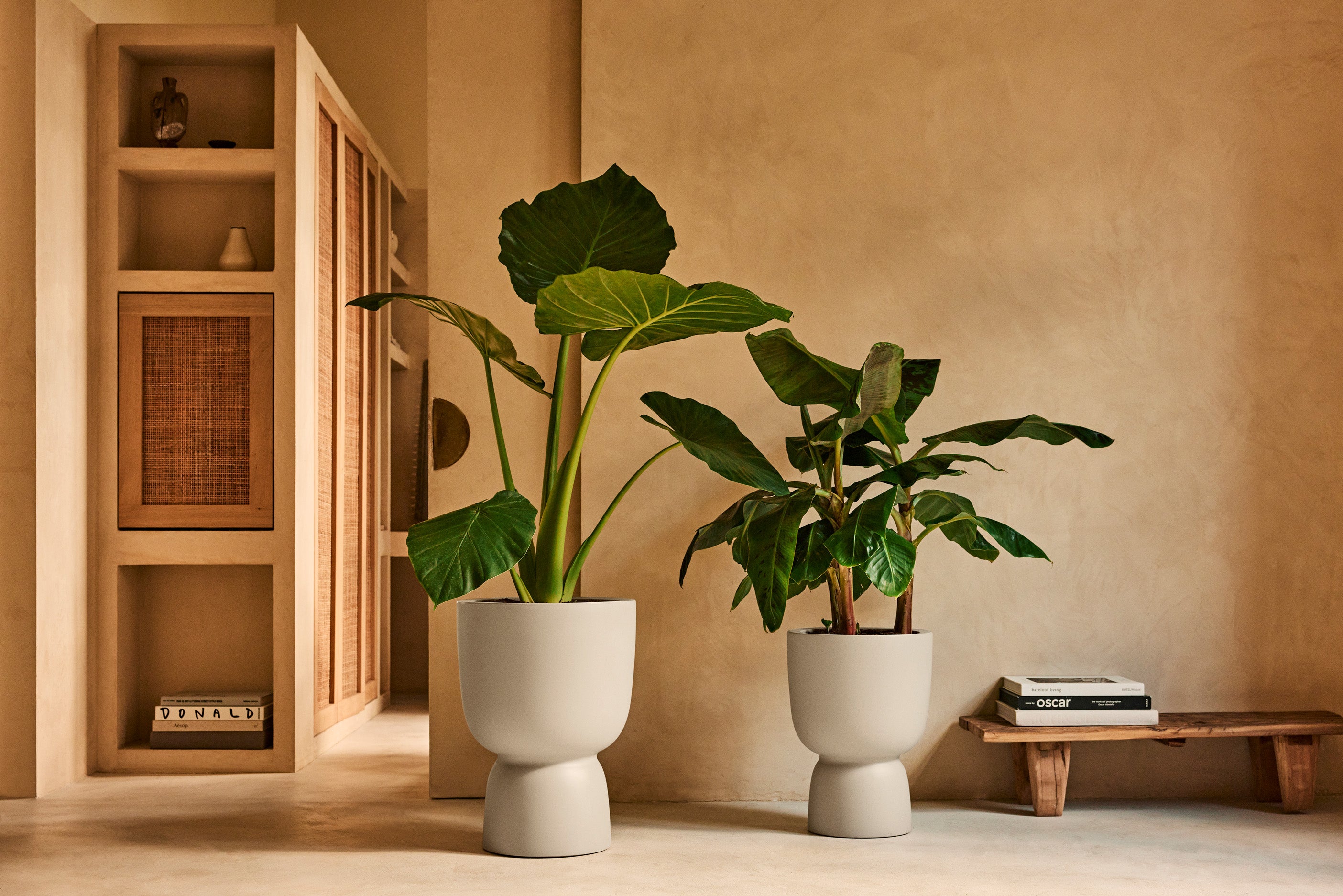 Design Pflanztopf Amber Coupe - Balanced Beige