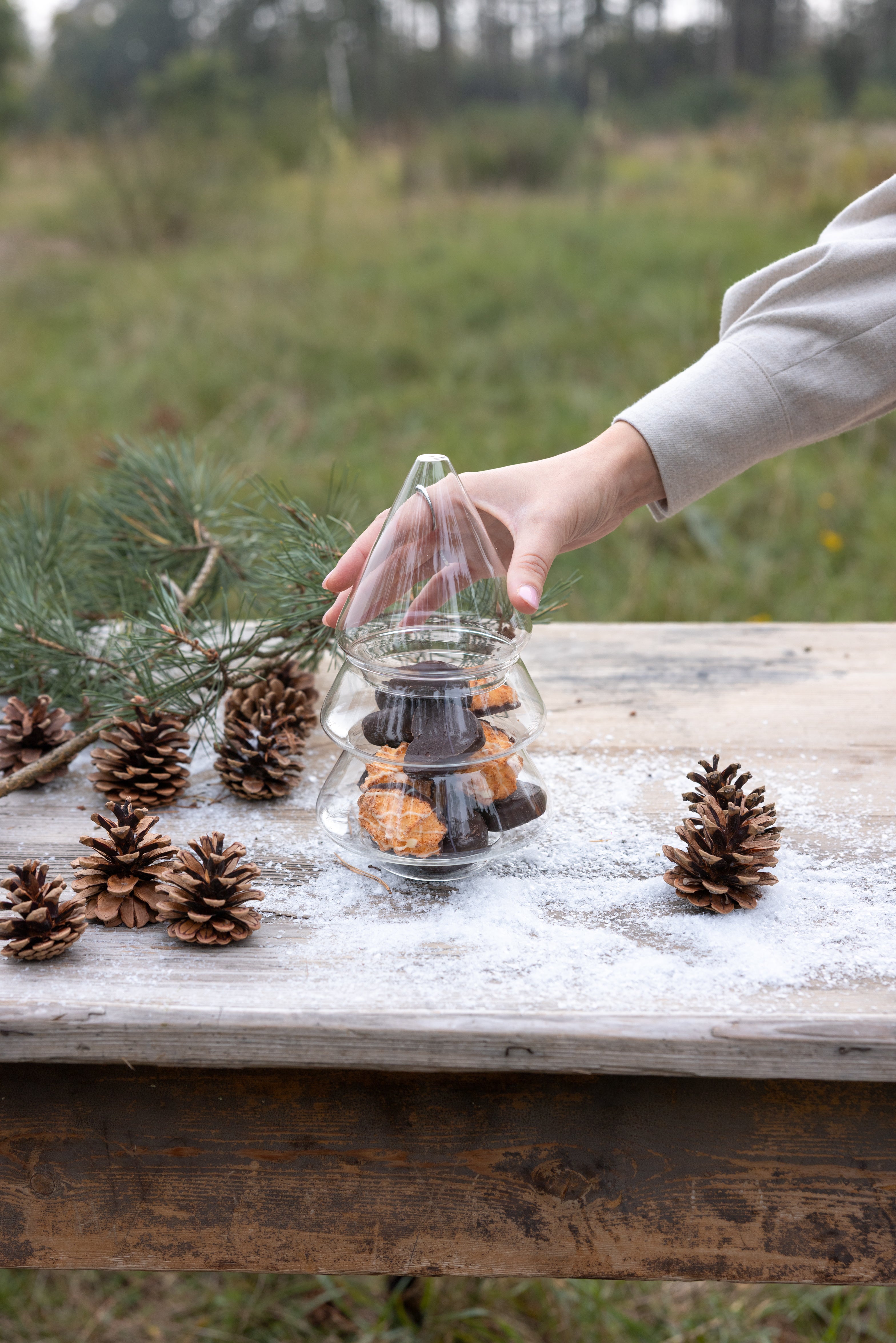 Aufbewahrungsglas Weihnachtsbaum